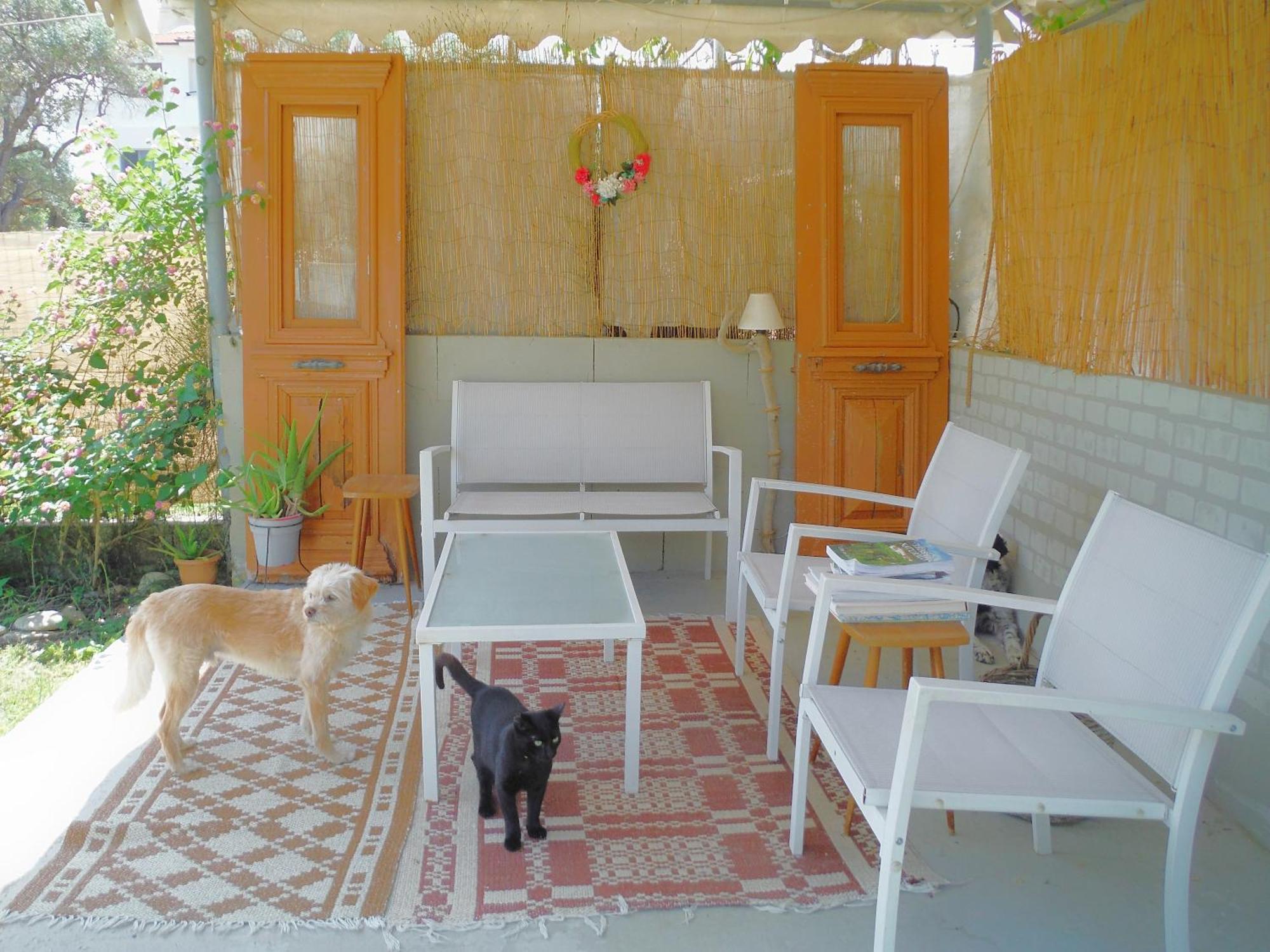 Port Rooms Limenas  Luaran gambar
